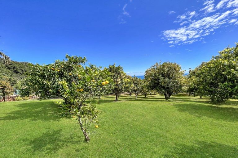 Photo of property in 8344c State Highway 35, Whanarua Bay, Te Kaha, 3199