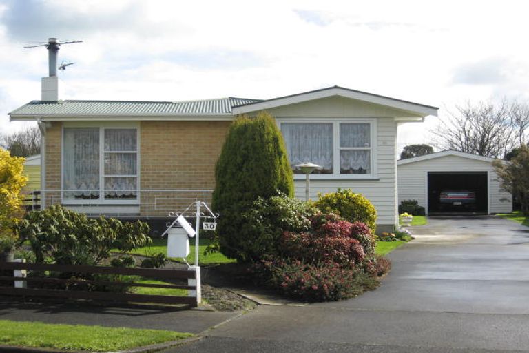 Photo of property in 30 Daniell Street, Solway, Masterton, 5810