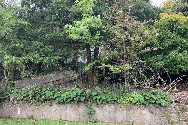 Photo of property in 42 Bretton Terrace, Hillcrest, Hamilton, 3216