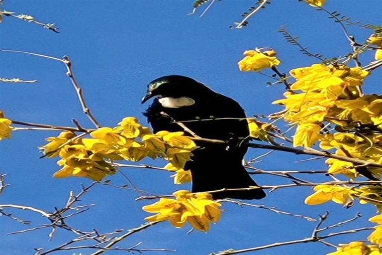 Photo of property in 376 Neudorf Road, Upper Moutere, 7175