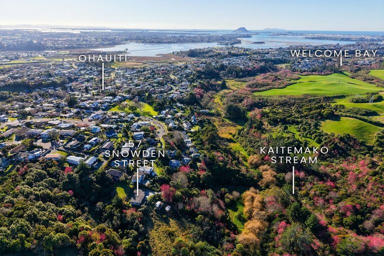 Photo of property in 57 Snowden Street, Ohauiti, Tauranga, 3112