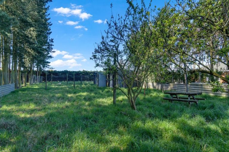 Photo of property in 275 Plaskett Road, Fernside, Rangiora, 7471