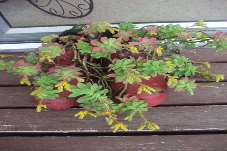 Photo of property in 24 Mary Street, Te Kuiti, 3910