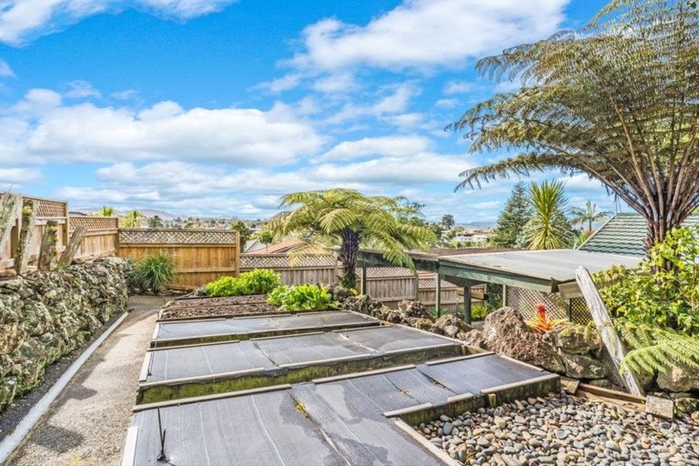 Photo of property in 14 Magnolia Avenue, Te Kamo, Whangarei, 0112