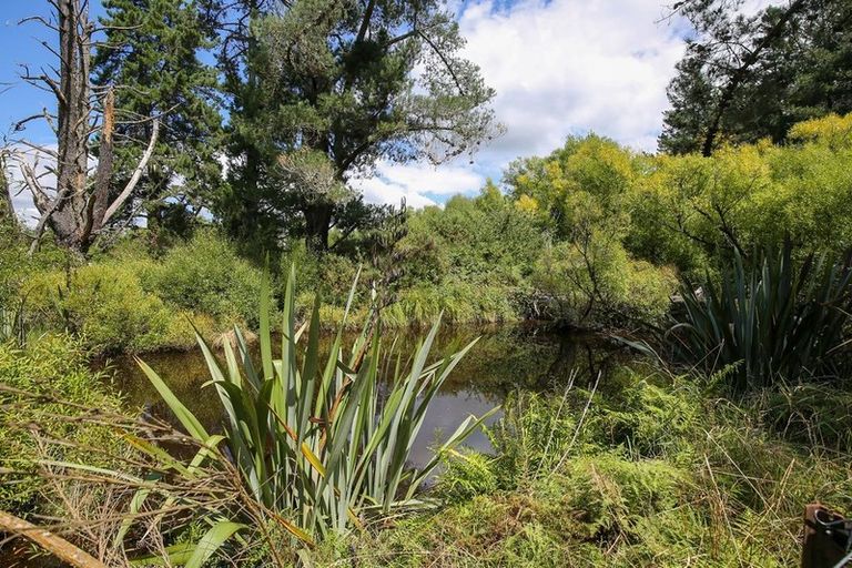 Photo of property in 538 Waiwhero Road, Ngatimoti, Upper Moutere, 7175