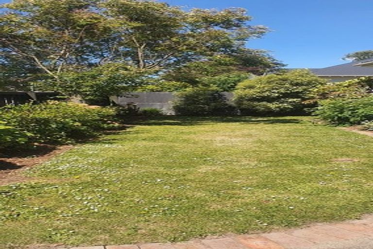 Photo of property in 38 Purchas Street, St Albans, Christchurch, 8014