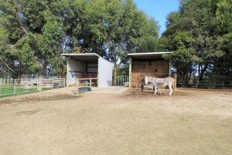 Photo of property in 91 Buckley Road, Shannon, Palmerston North, 4474