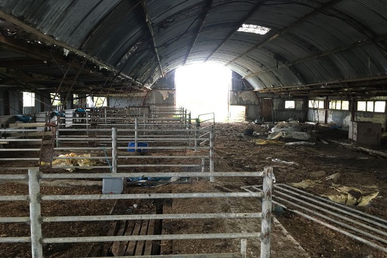 Photo of property in 181 Chamberlain Road, Te Awamutu, 3879