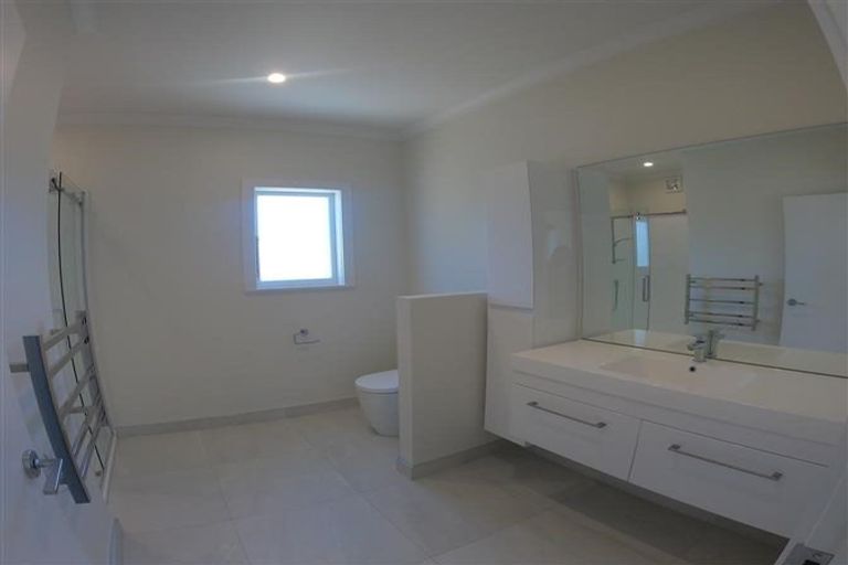 Photo of property in 161 Rimu Street, Maeroa, Hamilton, 3200