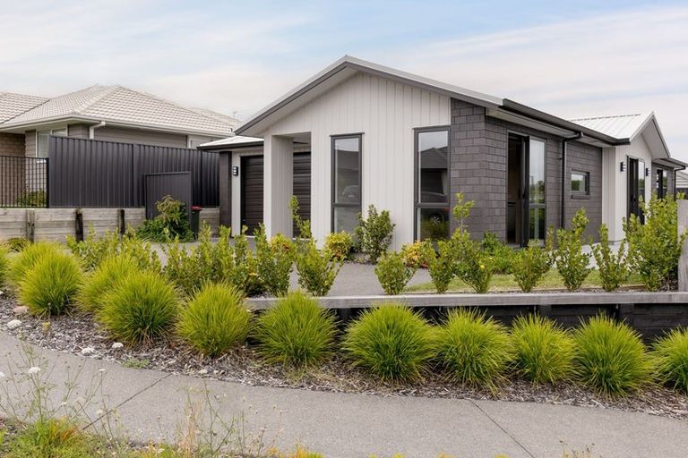 Photo of property in 99 Sentinel Avenue, Omokoroa, 3114