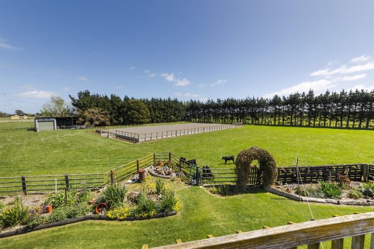 Photo of property in 481 Taonui Road, Colyton, Feilding, 4775