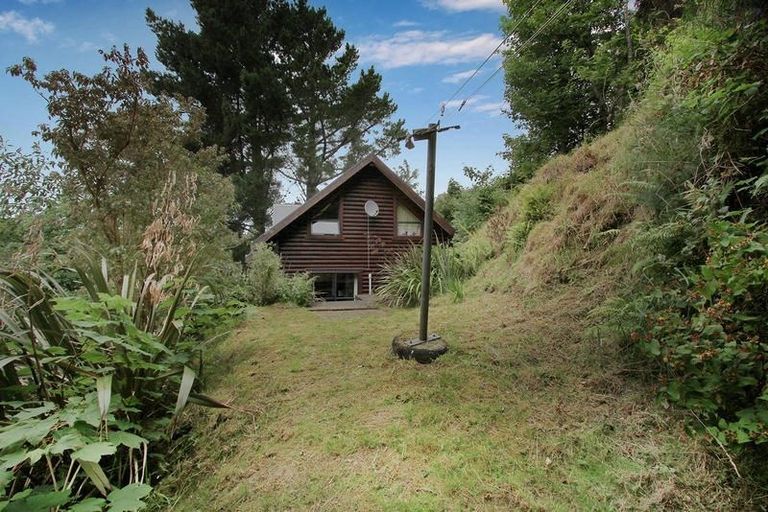 Photo of property in 50 Buccleugh Street, North East Valley, Dunedin, 9010