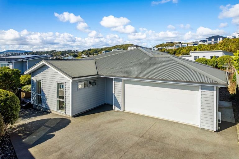 Photo of property in 41 John Burke Drive, Aotea, Porirua, 5024