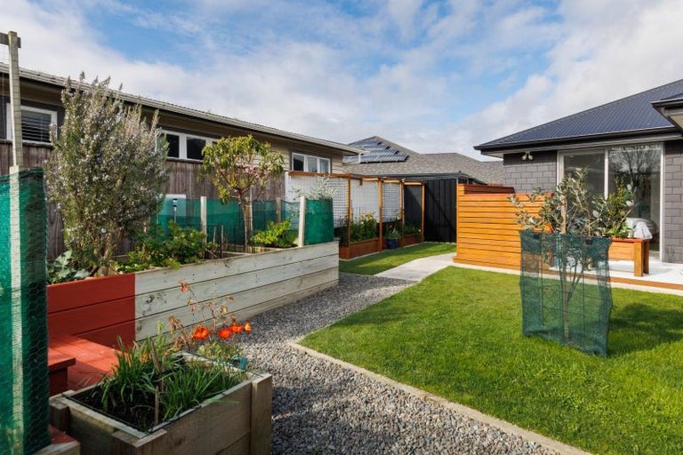 Photo of property in 3 Lancewood Avenue, Feilding, 4702