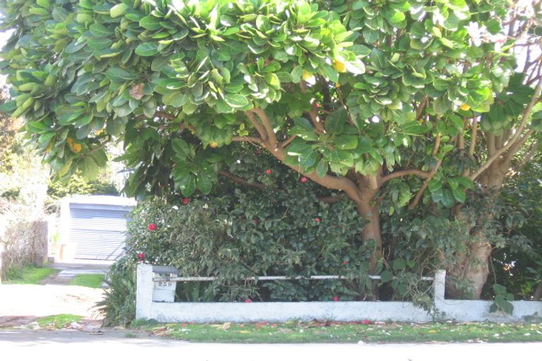 Photo of property in 259 Kamo Road, Whau Valley, Whangarei, 0112