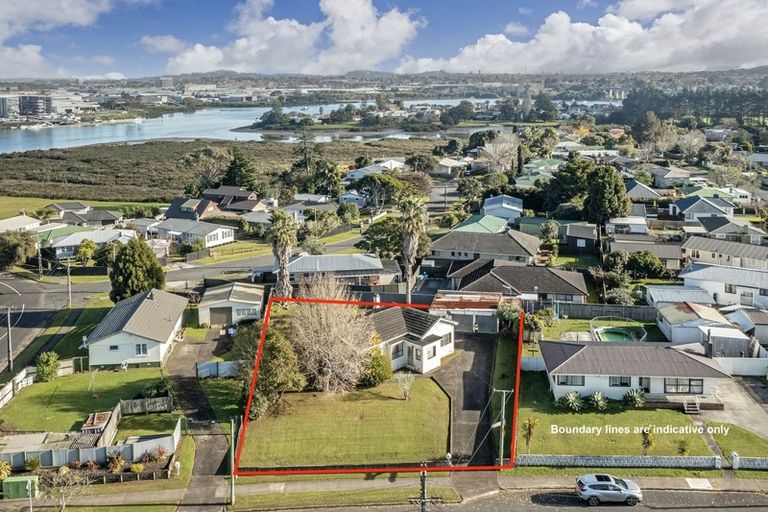 Photo of property in 57 Tiraumea Drive, Pakuranga, Auckland, 2010