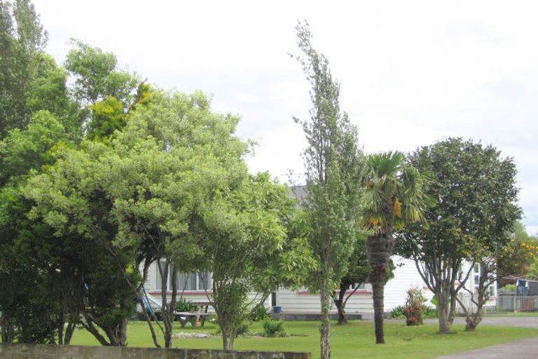 Photo of property in 9 Islington Street, Te Aroha, 3320