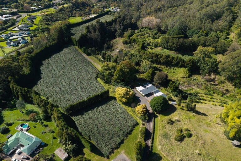 Photo of property in 93 Te Puna Quarry Road, Minden, Tauranga, 3179