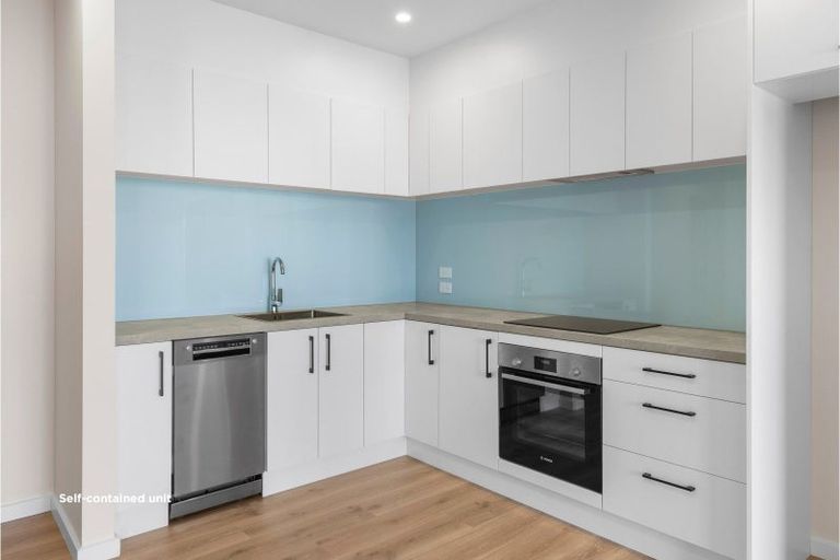 Photo of property in 120 Burdon Loop, Lake Hawea, 9382