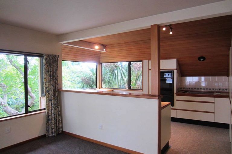 Photo of property in 43 Pacific Street, Roslyn, Dunedin, 9010