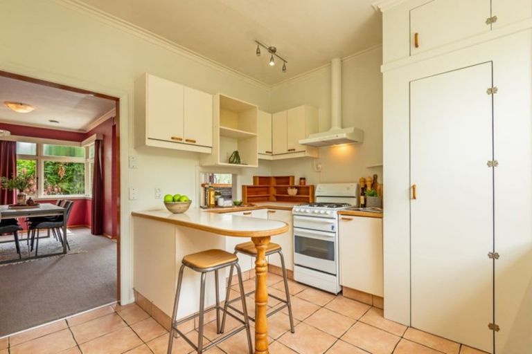 Photo of property in 80 Limbrick Street, Terrace End, Palmerston North, 4410