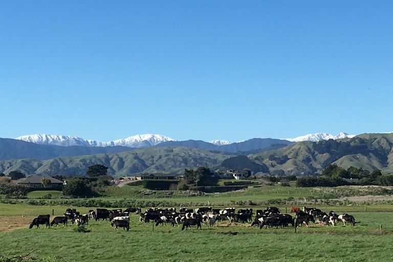 Photo of property in 26 Kitchener Street, Te Horo Beach, Otaki, 5581