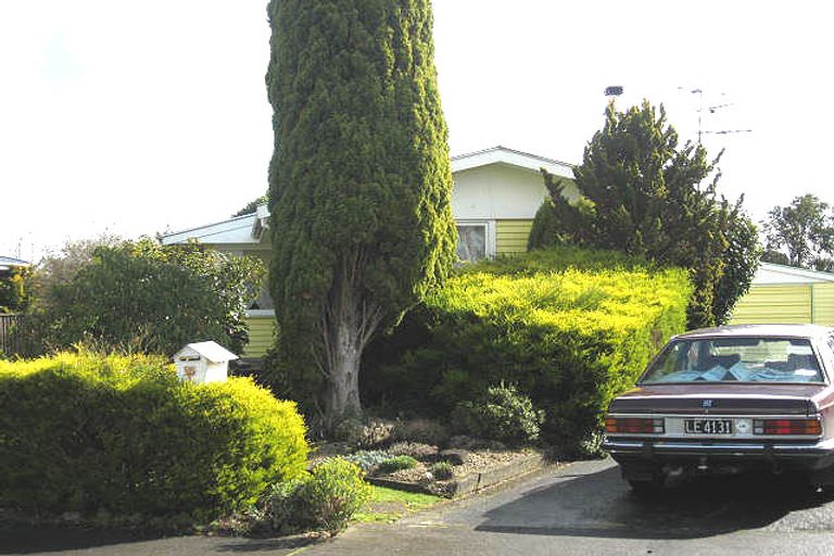 Photo of property in 32 Daniell Street, Solway, Masterton, 5810