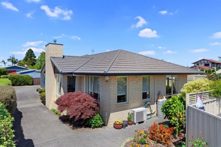 Photo of property in 43a Victoria Avenue, Whakatane, 3120