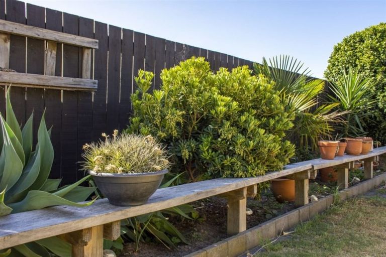 Photo of property in 38 Haven Grove, Papamoa Beach, Papamoa, 3118