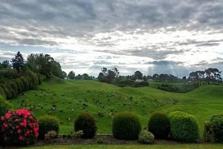 Photo of property in 20 Philip Street, Putaruru, 3411