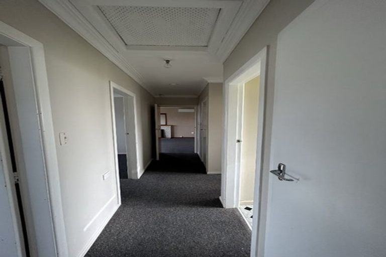 Photo of property in 21 Braemar Street, Levin, 5510