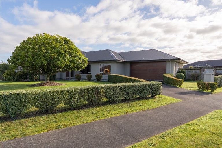 Photo of property in 21 Pukawa Place, Feilding, 4702