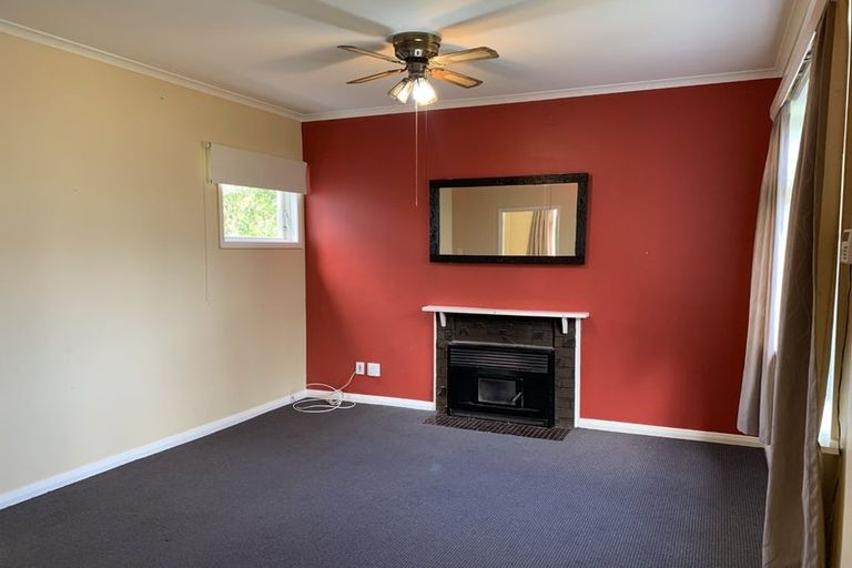 Photo of property in 138 Tiro Tiro Road, Levin, 5510