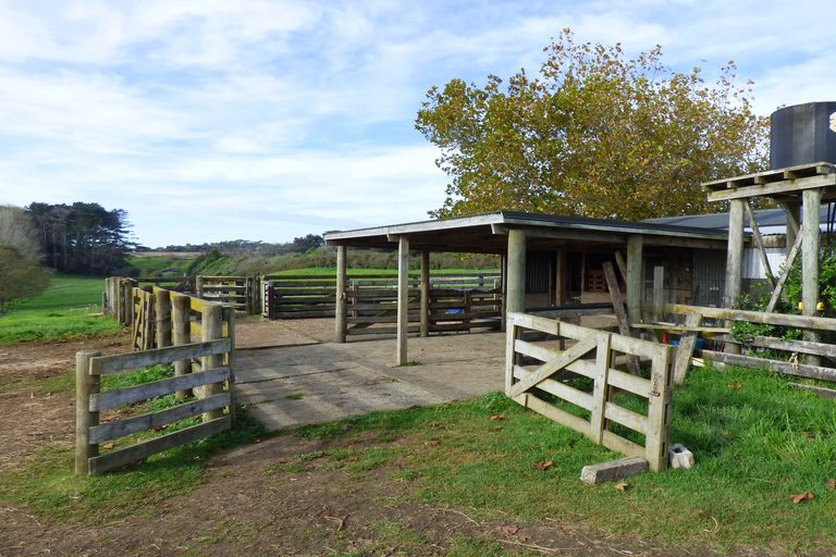 Photo of property in 110 Hall Road, Waiuku, 2681