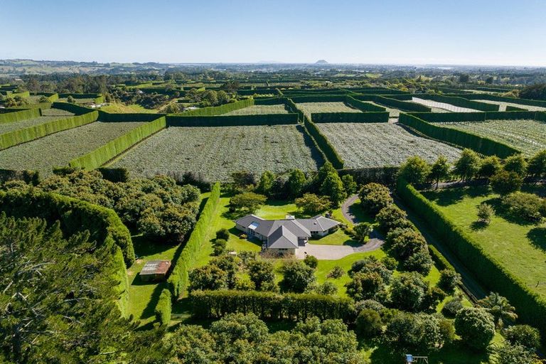 Photo of property in 526d Belk Road, Omanawa, Tauranga, 3171