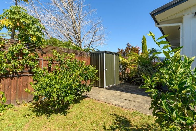 Photo of property in 17 Hairini Street, Hairini, Tauranga, 3112