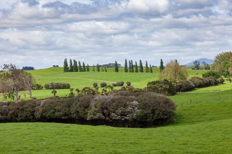 Photo of property in 99 Livingstone Road, Ngahinapouri, Hamilton, 3290