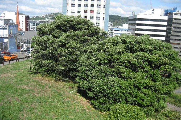 Photo of property in 2/27 Macdonald Crescent, Te Aro, Wellington, 6011