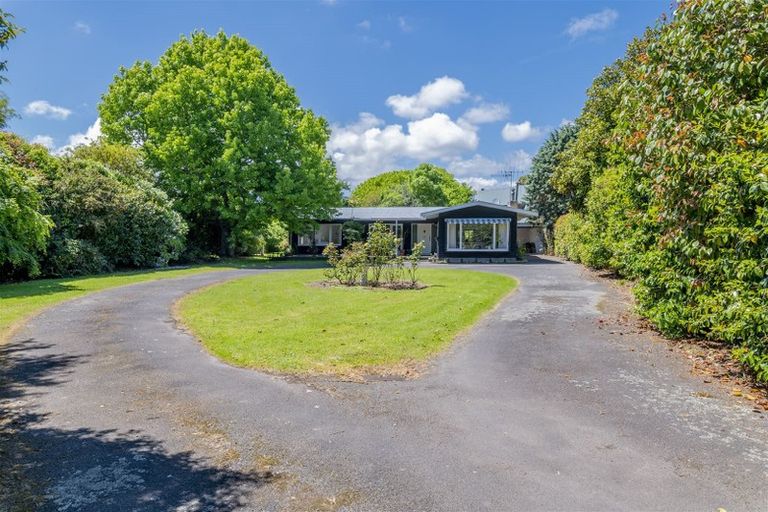 Photo of property in 61c Macarthur Street, Levin, 5510