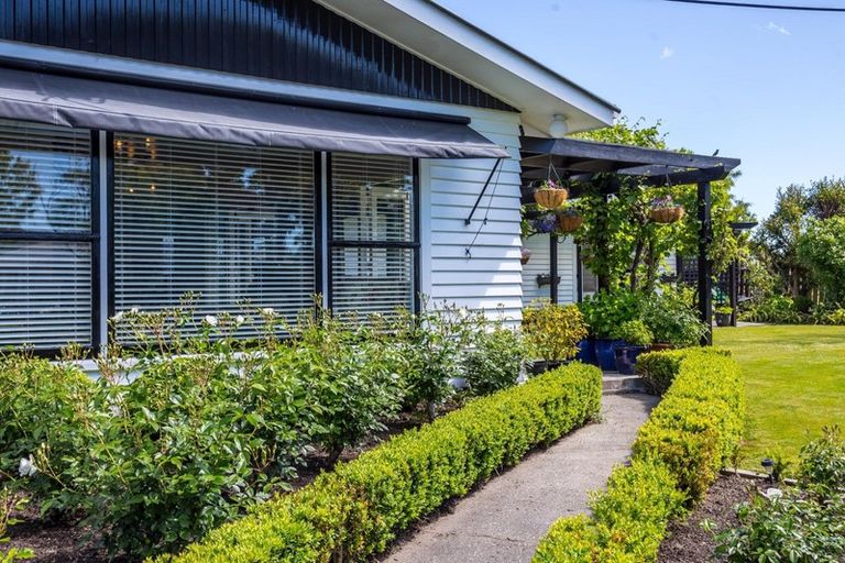 Photo of property in 31 Titoki Street, Lansdowne, Masterton, 5810