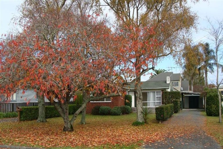 Photo of property in 66a Campbell Street, Leamington, Cambridge, 3432