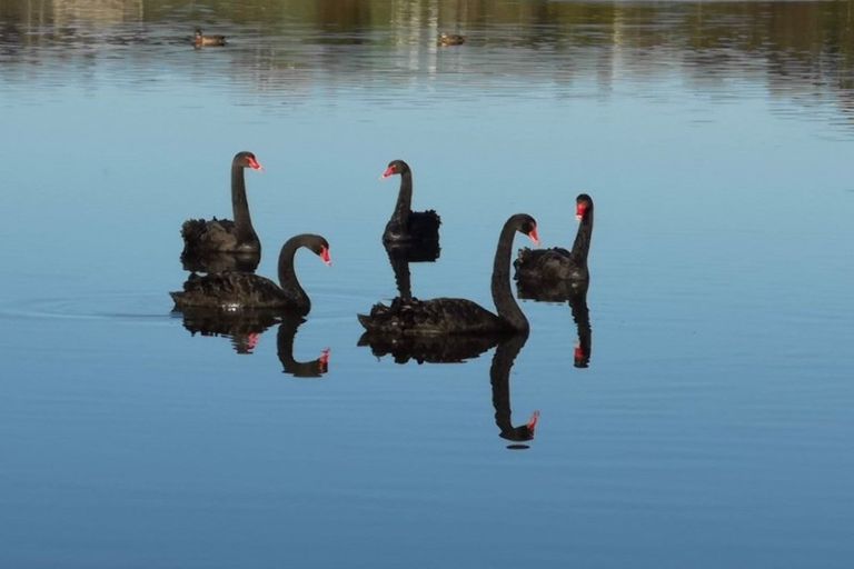 Photo of property in 34 Woodleigh Lane, Mangawhai, 0573