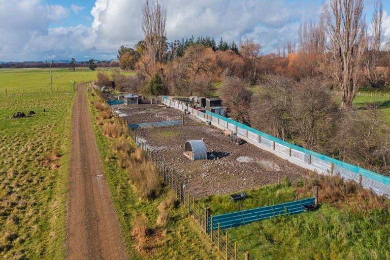 Photo of property in 262 Burnside Road, Ashley Clinton, Takapau, 4288