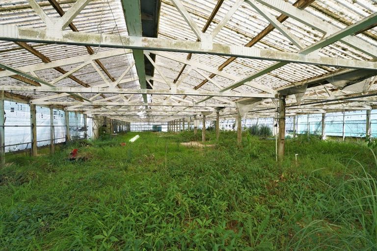 Photo of property in 317 Rotokauri Road, Baverstock, Hamilton, 3289