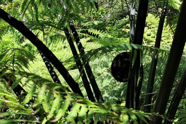 Photo of property in 1b Whatuwhiwhi Road, Karikari Peninsula, 0483