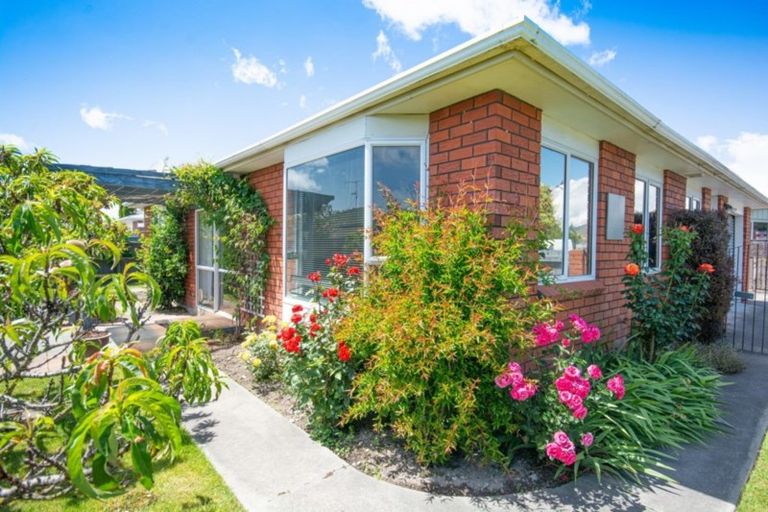 Photo of property in 29 Arthur Baker Place, Redwoodtown, Blenheim, 7201