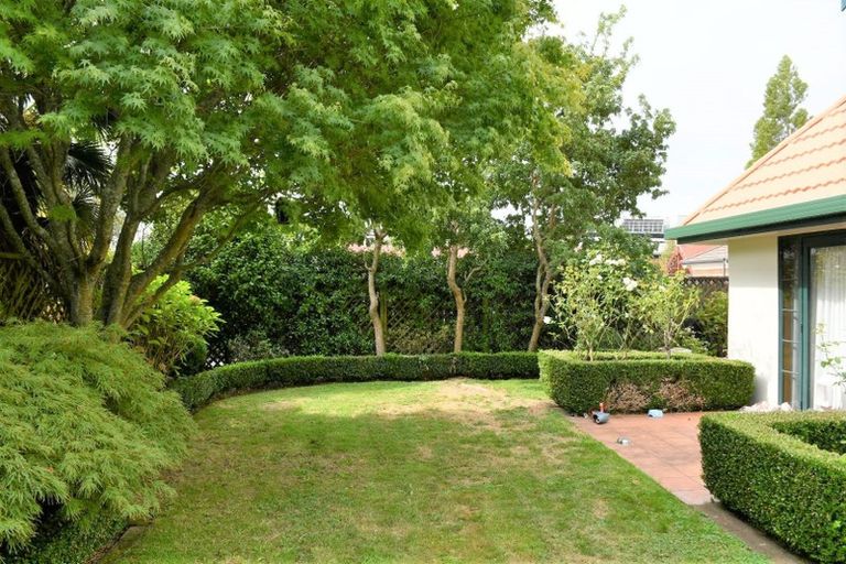 Photo of property in 101b Clarence Street, Hamilton Lake, Hamilton, 3204