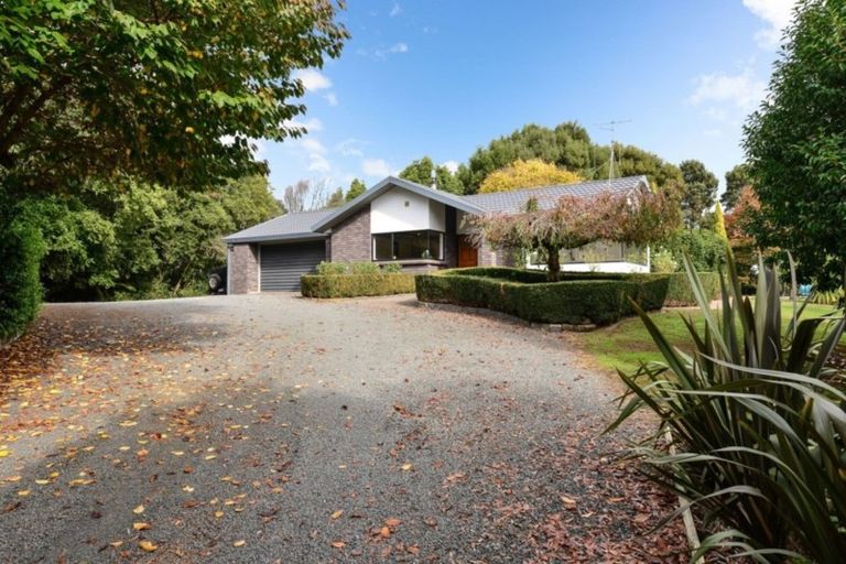 Photo of property in 11 Scotsvale Drive, Tauwhare, Morrinsville, 3371