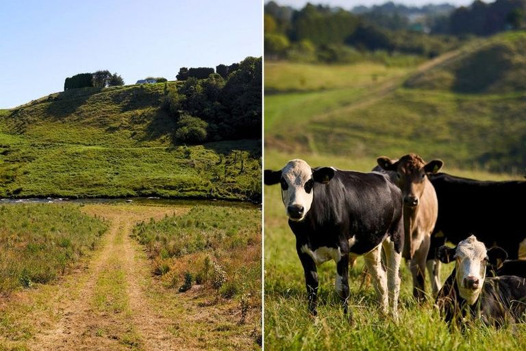 Photo of property in 196c Pukemapu Road, Oropi, 3173