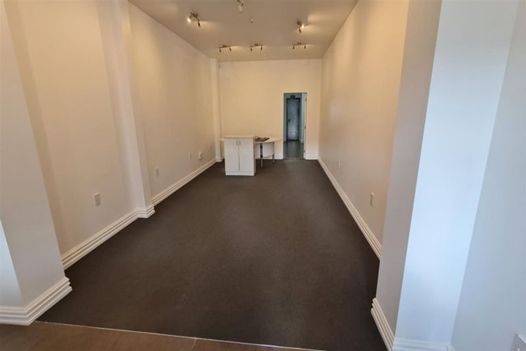 Photo of property in 107 Vivian Street, Te Aro, Wellington, 6011